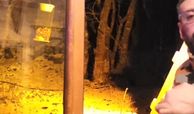 Kartepe'de yiyecek arayan tilkiyi, eliyle besledi