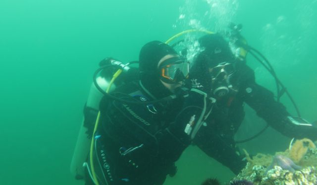 Kocaeli Büyükşehir Belediye Başkanı Büyükakın, Gebze Eskihisar'da dalış yaptı