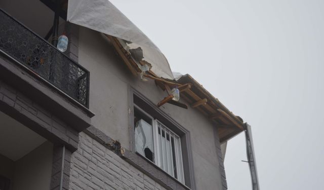 Manisa'da kuvvetli rüzgar nedeniyle çatılar uçtu, ağaçlar devrildi; 1 yaralı (3)