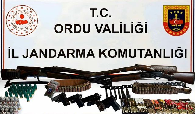 Ordu'da silah ve uyuşturucu operasyonu