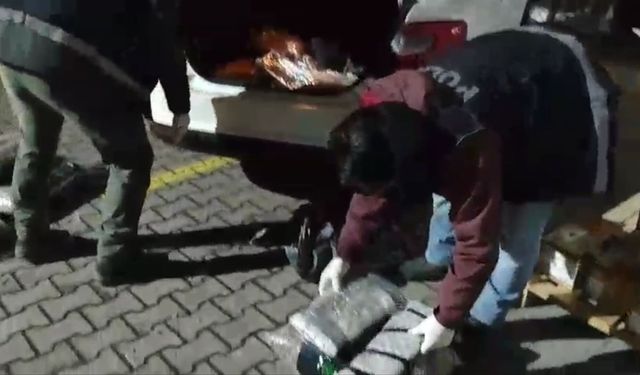 Sakarya'da 5 kilo 700 gram skunk ele geçirildi