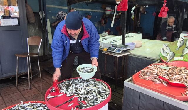 Zonguldak'ta poyraz nedeniyle bazı balıkçılar denize açılamadı