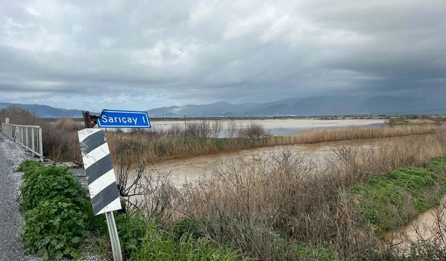 Büyük Menderes Nehri yine taştı; Söke Ovası'nı su bastı