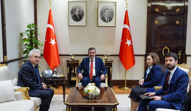 Cevdet Yılmaz, Uluslararası Enerji Ajansı Başkanı Birol'u kabul etti