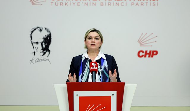 CHP'li Böke: Gümrük Birliği'nin güncellenmesi için yeni diplomasi anlayışına ihtiyaç var