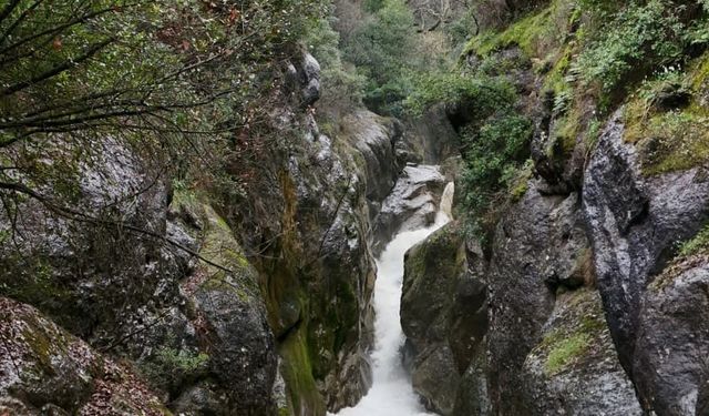 Dağcılar, yağışlar sonrası su seviyesi yükselen dereden geçerken zor anlar yaşadı