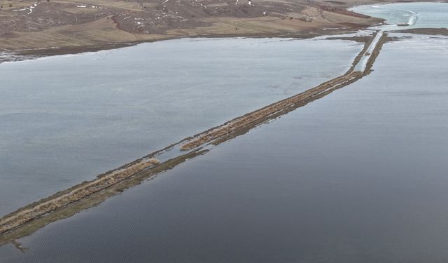 Eriyen kar suları nedeniyle Tödürge Gölü taştı