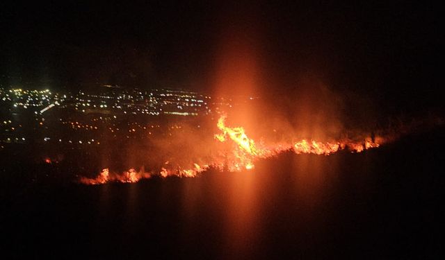Hatay'da zeytin bahçesinde yangın