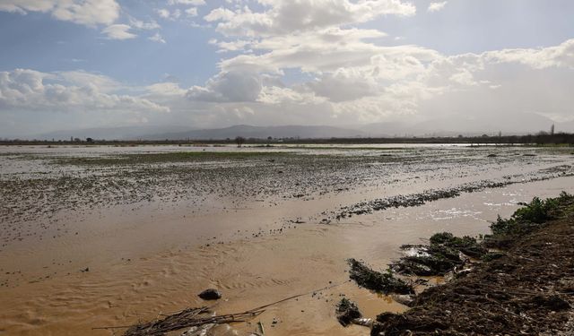 Irlamaz Çayı taştı, Turgutlu Ovası su altında kaldı