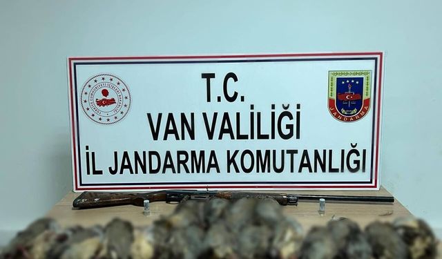 Kaçak avcıya 87 bin TL ceza kesildi; araçta 17 ölü kınalı keklik ele geçirildi