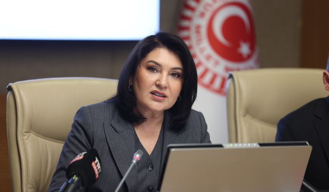 Kamu Başdenetçisi Akarca: 2025 yılında çözüme kavuşturulan dosya sayısı 2 bin 42'ye ulaştı