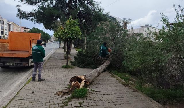 Kuşadası'nda fırtına ve sağanak: Evlerin çatıları uçtu, araçlar yollarda mahsur kaldı