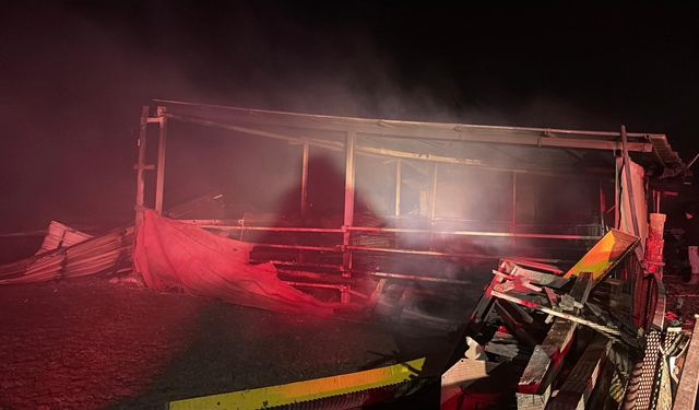 Tekirdağ'da çiftlik yangınında, 60 küçükbaş öldü