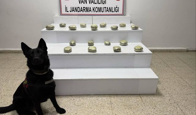 Van'da arazide 20 kilo 250 gram esrar ele geçirildi