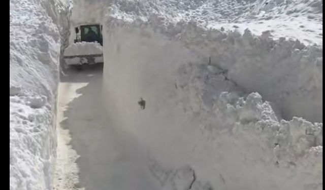 Van'da çığ düşen mahalle yolunda karla mücadele sürüyor