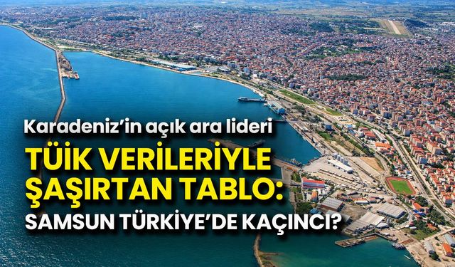 TÜİK Verileriyle Şaşırtan Tablo: Samsun Türkiye’de Kaçıncı?