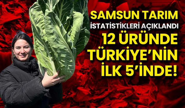 Samsun Tarımda Zirveye Koşuyor: 12 Üründe Türkiye’nin İlk 5’inde!
