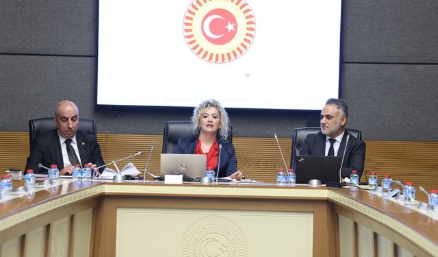 Ankara Cumhuriyet Başsavcı Vekili Akdoğan: 15-18 yaş grubundaki çocuklarımızda yaş küçüklüğüne bağlı indirimler uygulanmamalı