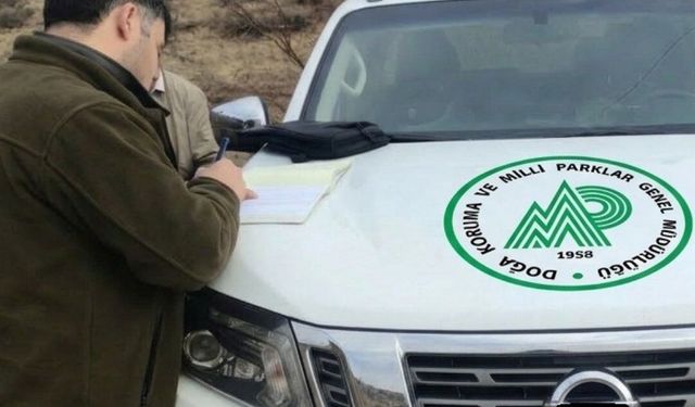 Antalya'da kaçak avcılara 1 milyon 42 bin lira ceza