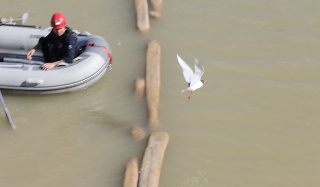 Ayağına misina dolanan martıyı itfaiye eri kurtardı