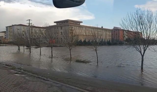 Nusaybin'de sağanak; İpekyolu suyla doldu