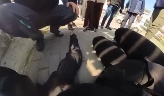 Otomobille çarpışıp elektrik panosuna savrulan motosikletin sürücüsü yaralandı