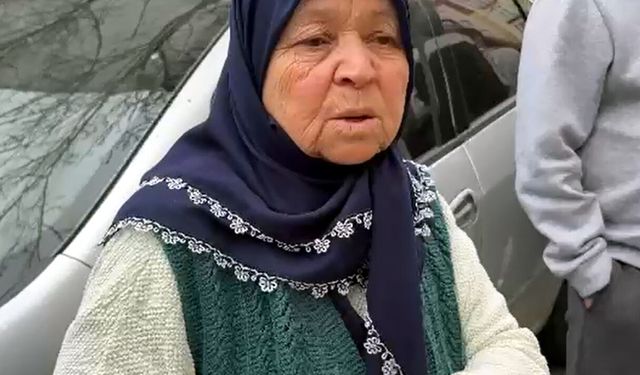 Pitbull'un saldırdığı 'Reis' isimli köpek, ağır yaralandı