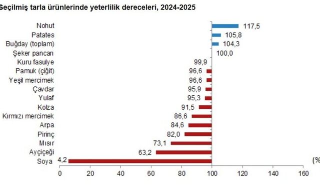 TÜİK: Tahıl üretiminin yeterlilik derecesi yüzde 91,1