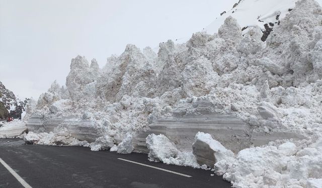 Van-Hakkari kara yoluna çığ düştü, araçlar mahsur kaldı