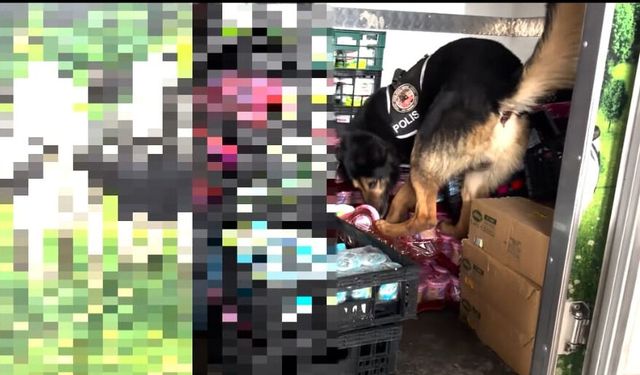 Van'da kamyonette 90 kilo 600 gram uyuşturucu ele geçirildi