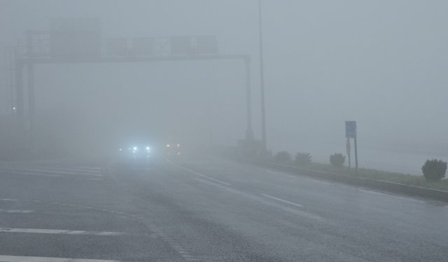 Zonguldak'ta 3 gündür sis etkili oluyor