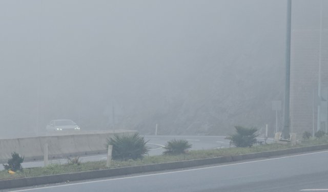 Zonguldak'ta 5 gündür sis etkili oluyor