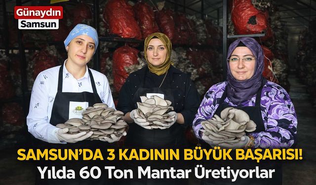 Samsun'da 3 Kadının Büyük Başarısı! Yılda 60 Ton Mantar Üretiyorlar