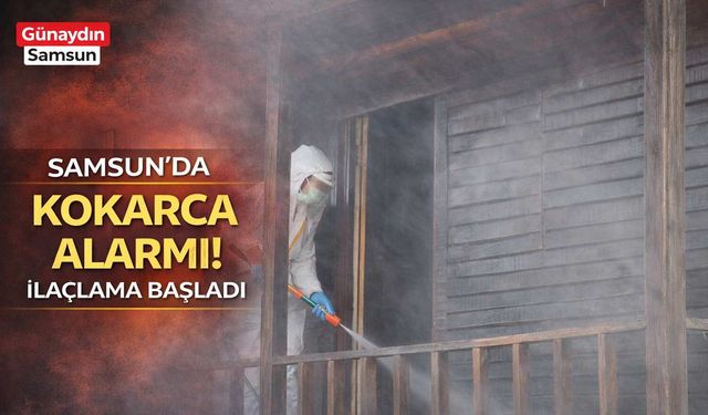Samsun’da Kokarca Alarmı! İlaçlama Başladı