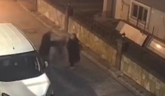 Adres sorma bahanesiyle kolye çalan şüphali gözaltına alındı