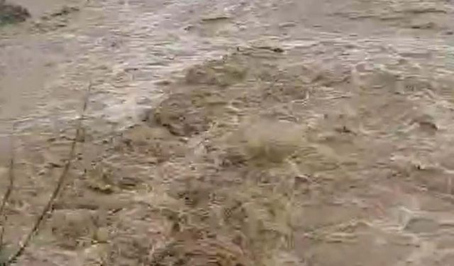 Aydın'da sağanak; istinat duvarı çöktü, bazı evleri su bastı