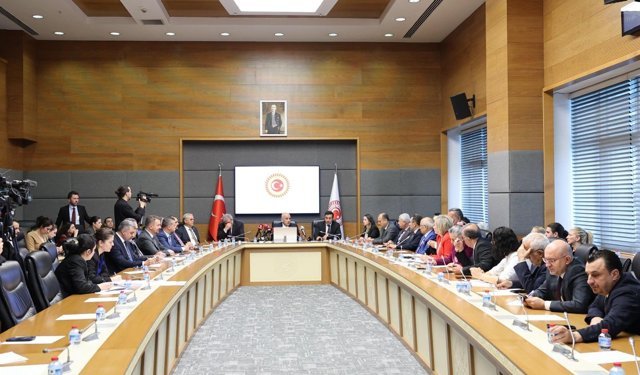 İçişleri Bakanlığı Müşaviri Karaca: Sahipsiz sokak hayvanlarının yüzde 78'i toplandı