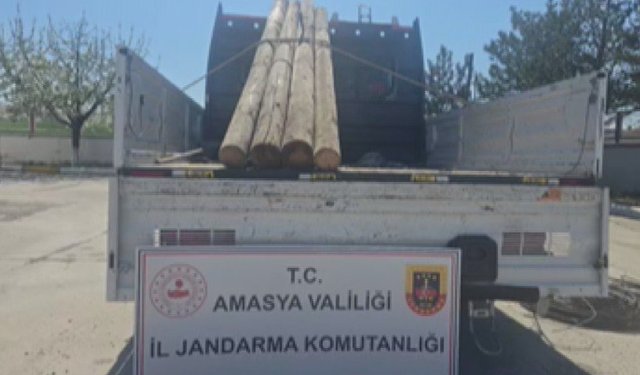 Kablo ve telefon direği hırsızlığına 3 tutuklama