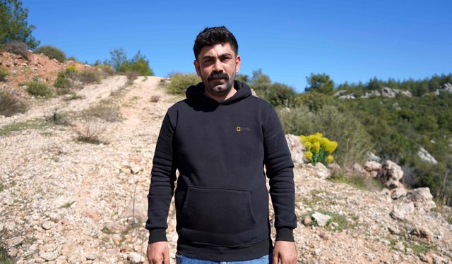 Yavru köpeklerin kulaklarını kesip satan üreticiye 327 bin TL para cezası