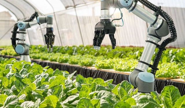 YÖK’ten Yeni Hamle: Tarımsal Teknoloji Bölümleri Açılıyor