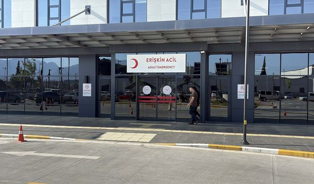 Aydın'da bayramın ikinci günü kurban kesimi sırasında 277 kişi yaralandı