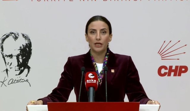 CHP'li Rızvanoğlu: Bu ülkenin ormanları sahipsiz değil