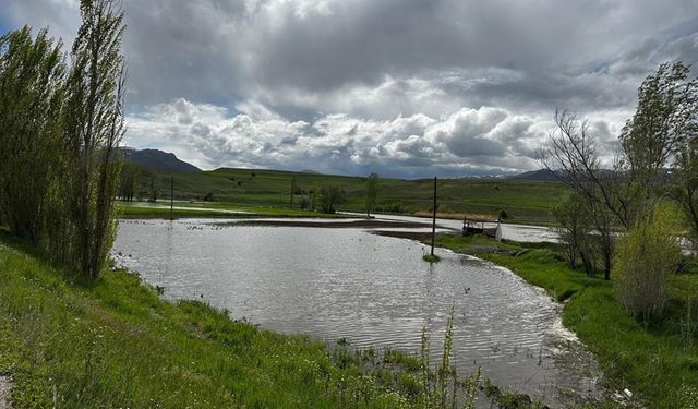 Erzincan'da aşırı yağış, ekili arazileri vurdu