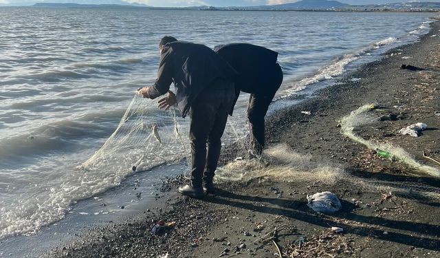 Van Gölü'ne atılan 200 metre uzatma ağında yakalanan 100 kilo canlı balık, tekrar suya bırakıldı