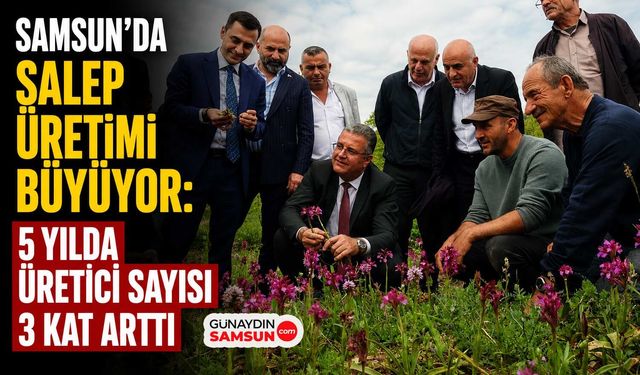 Samsun’da Salep Üretimi Rekor Artış Gösterdi