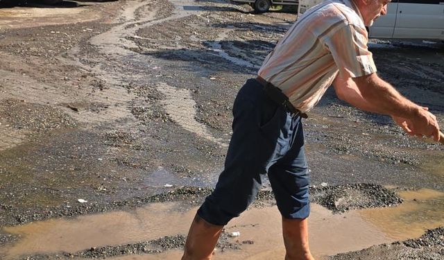 Artvin'de sağanak etkili oldu; dere taştı
