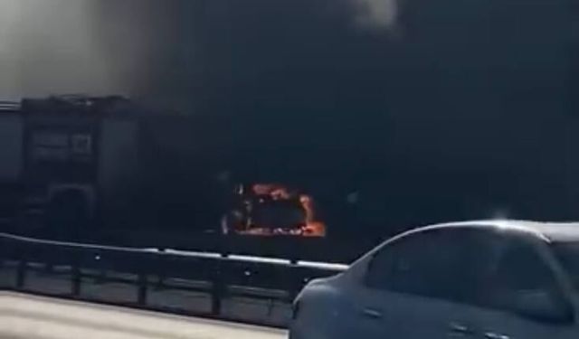 Avcılar TEM Otoyolu'nda otomobilden yükselen alevler ağaçlık alana sıçradı
