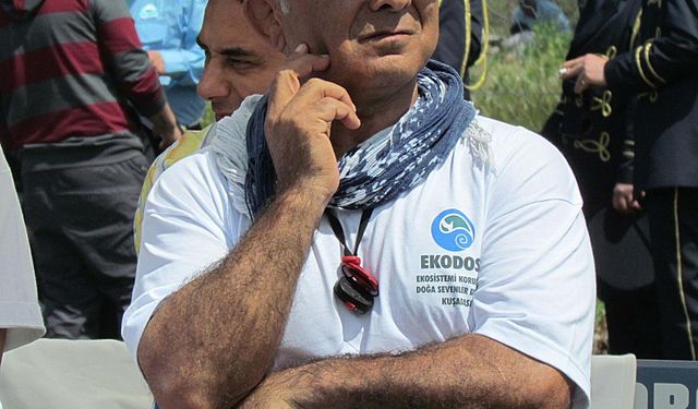 Aydın'da ilk caretta caretta yuvası Didim'de tespit edildi