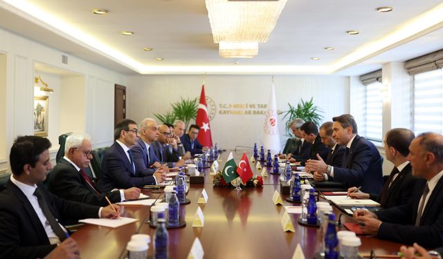 Bakan Bayraktar, Pakistan Özelleştirme Bakanı Ali ile bir araya geldi