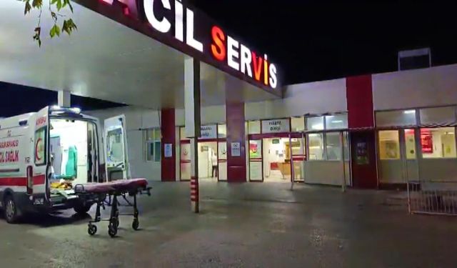 Bursa'da Kültür Yolu Festivali'nde bıçaklı kavga: 2 yaralı